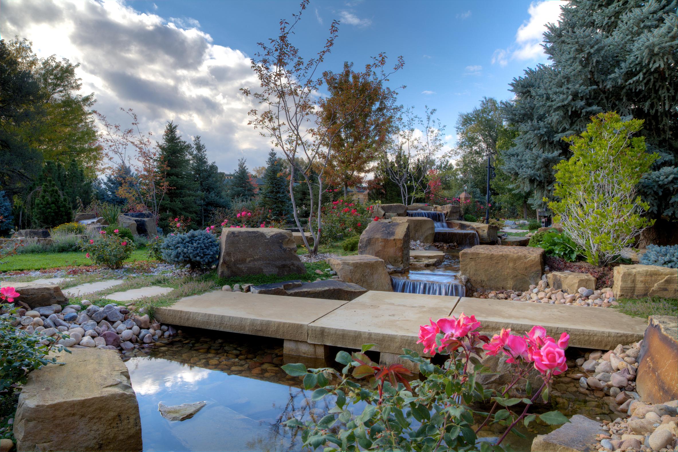 Oasis Amongst the Evergreens