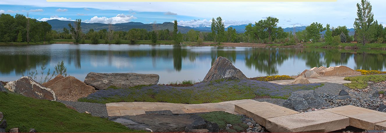 Water’s Edge